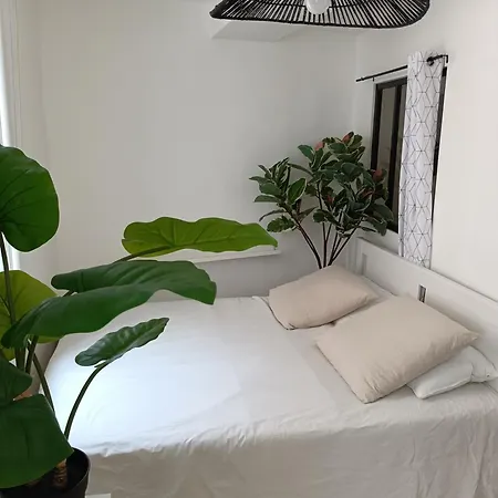 Cosy 40M2 City Center 'Le Panier' Marsiglia Esterno foto